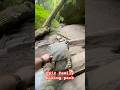 Best family hiking backpack? The Hidden Woodsman M23