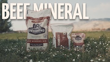 Natural Cattle Minerals | Redmond Beef Mineral Mix