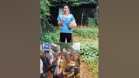 biệt đội lõi nồi cơm điện của thầy thích Minh Tuệ