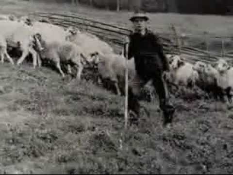 ფოლკლორის ყვირილი ხმამაღლა სიმღერა და ცეკვის