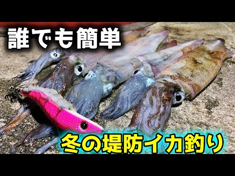 エギング 堤防から初心者でも簡単にイカが釣れる季節がやってきました ヤリイカ Youtube エギング 堤防から初心者でも簡単にイカが釣れる季節がやってきました ヤリイカ Youtube
