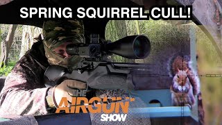 The Airgun Show | Springtime squirrel shooting | MTC Copperhead Safari review