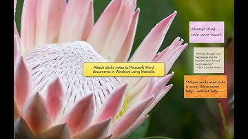 Windows: Attach sticky notes to Microsoft Word documents in Windows using Notezilla