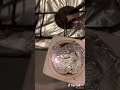 ترى البنت رحمه 