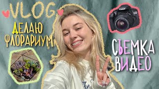 : vlog:   |    ?