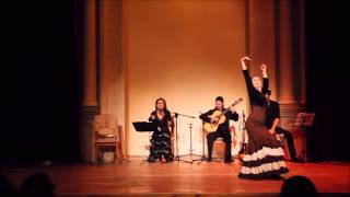 Елена Пяткина, куадро фламенко &quot;Тирити-тран&quot;. Sabor. Amor. La vida. Flamenco,  Kiev