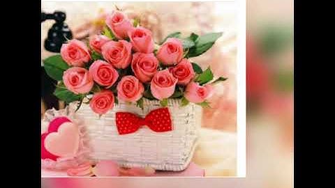 سورة النصر⚘ بصوت احمد العجمي 🌷