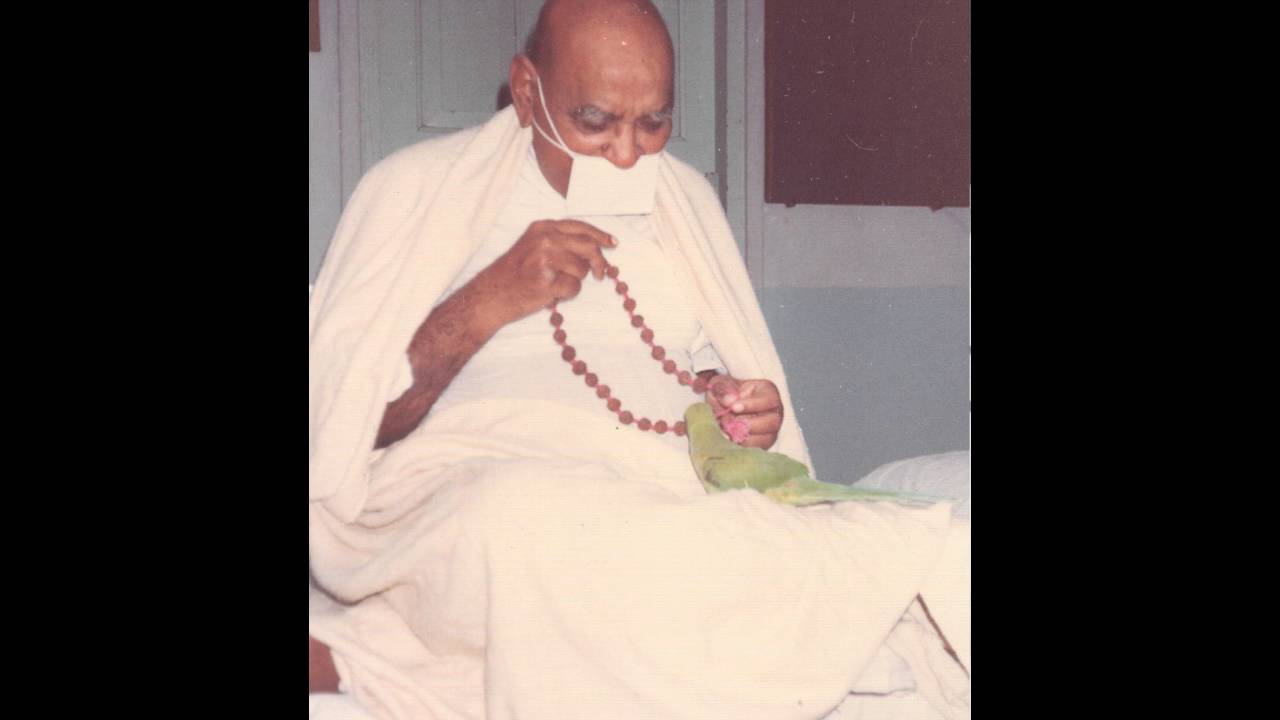 Manglik - By Upadhyaya Shri Amar Muniji