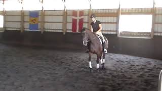 Amy Flat Work