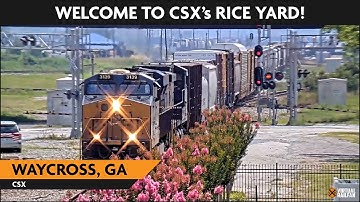 Waycross, Georgia, USA  Virtual Railfan  LIVE !