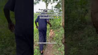 Paypal Link In Bio To Donate Any Amount You Can Afford Please 