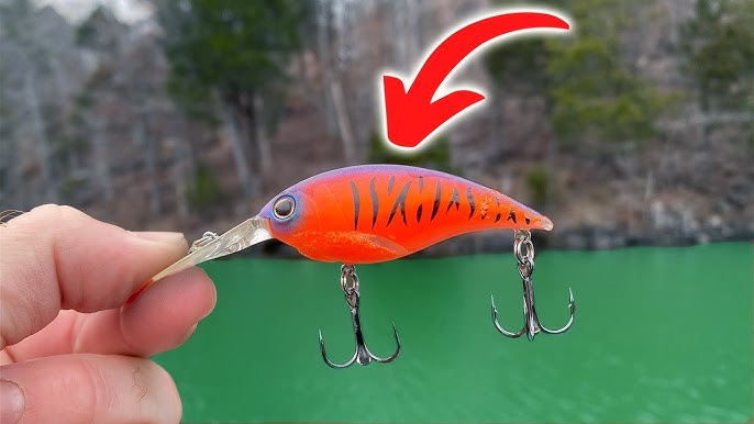 First Look: Berkley Powerbait Cull Shad Unboxing & Impressions 
