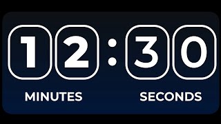 12 Minutes 30 Seconds Timer Count Down Alarm Clock | 690 Seconds