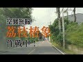 【外來種】空襲警報│荔枝椿象 作戰中！ (我們的島 1009集 2019-06-17)