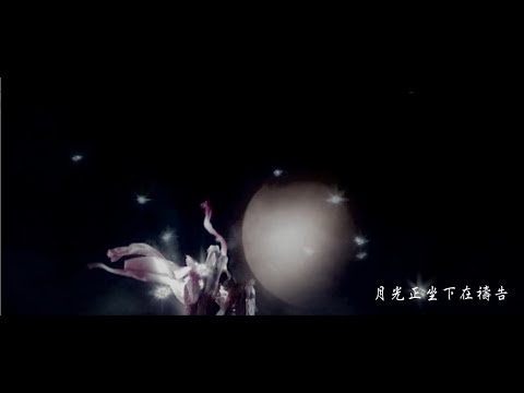 【收萬劫｜青劫】寒鴉少年