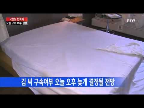 '증거조작' 국정원 협력자 오늘 구속 여부 결정 / YTN