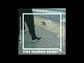 センター街_鳩 (Sounds of Shibuya - ermhoi Collection)