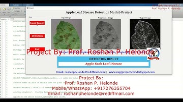 Apple Leaf Disease Detection Using Image Processing With Source Code | Matlab Project Source Code