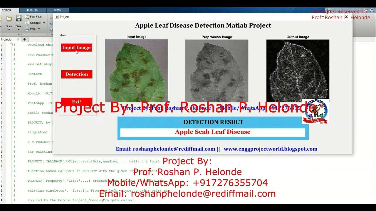 Apple Leaf Disease Detection Using Image Processing With Source Code ...
