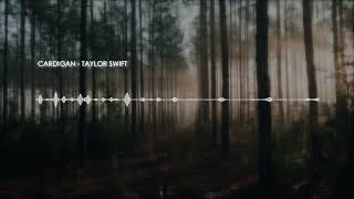 cardigan - taylor swift (full slowed version)