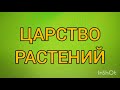 Царство растений. Характеристика, систематика растений