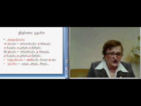 ნ.მაღლაკელიძე, ზ.კურსი 2, 6/4