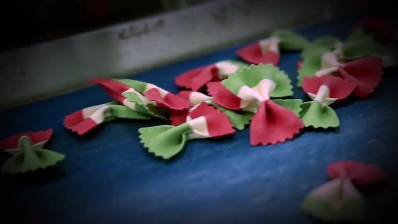 PASTIFICIO PIPOLO PASTA ARTIGIANALE dal 1972 YouTube