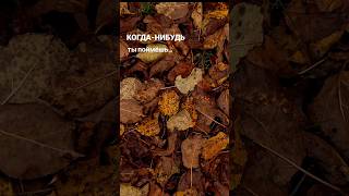 #181 | ЗОЛОТАЯ ПАУЗА между мыслями... #shortvideo #деньвдеревне#осень #домиквдеревне#