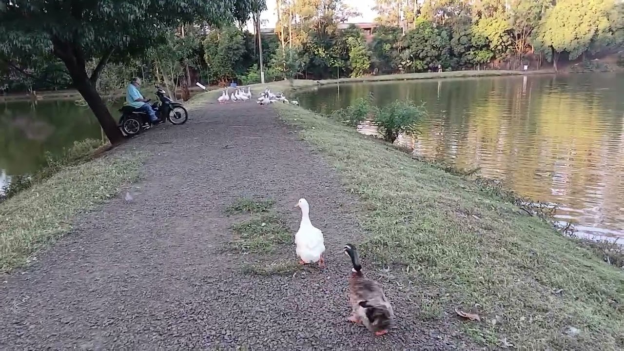 Parque da Pedreira Mandaguari PR