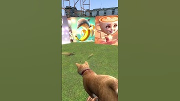 I should’ve paid attention but ballerino lololo muscles were distracting