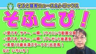 【そふとぴ！】〈愛です。サマー、一瞬。〉ウイニング動画公開！など（2026/8/9） screenshot 3