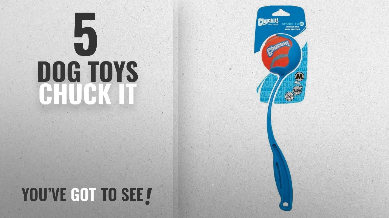 puppies near me Top 5 Dog Toys Chuck It [2018 Best Sellers]: Chuckit! Sport Launcher 1 ea