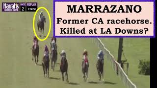 FORMER CA RACEHORSE MARRAZANO. Killed at LA Downs?
