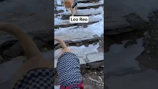 Leo Reo tye Legends #shortsviral