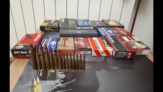 E40 Oružje, kalibri i zrna koje koristimo/ Rifles, calibres and rounds we use.