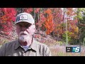 Open season for archery deer hunting in Michigan begins