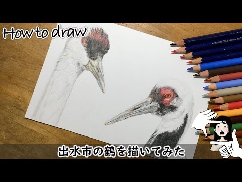 鶴の絵 hqdefault.jpg