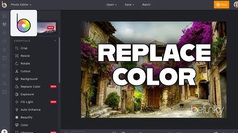 How to Replace Color in Befunky 2025?