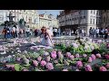 Прага - город времени.  Оберег Мира из цветов в центре Праге.
