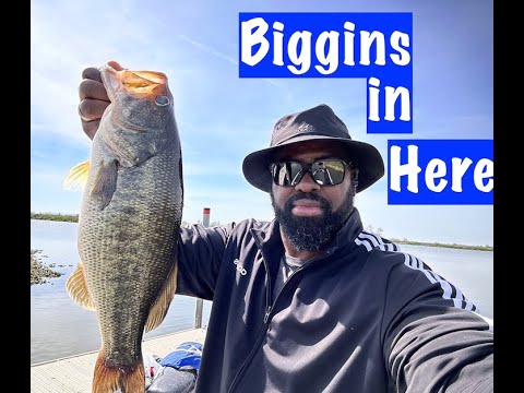 Bass Fishing in a River