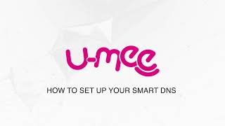 How to set up your Smart DNS screenshot 3