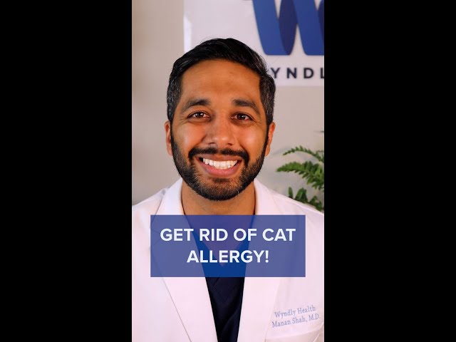 Best Natural Remedies for Cat Allergies 6 sddefault