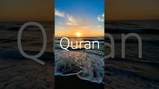 Quran Surah Yusuf || #quranayat #urdutranslation #hindi