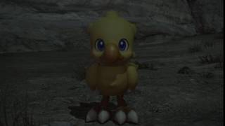 FFXIV Chocobo - kweh