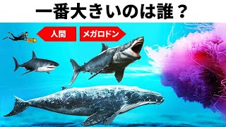 最大＆最速＆最冷動物＆もの比べ91選