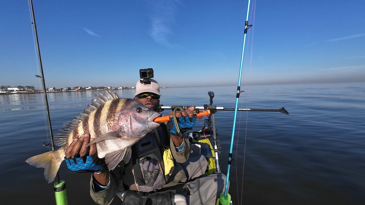 TEXAS SIZED Sheepshead!! Kayak Vs Boats {Catch & Clean} QUICK LIMIT!!! [Sheepshead Fishing]