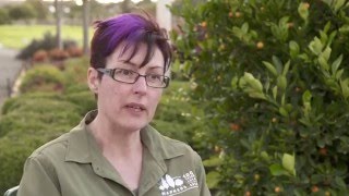 2015 WorkSafe Awards Winner - Warners Nursery