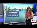 🔴 En Vivo | Operativos de inmigración generan caos en California