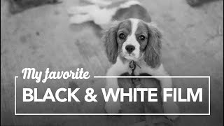 my favorite black and white film