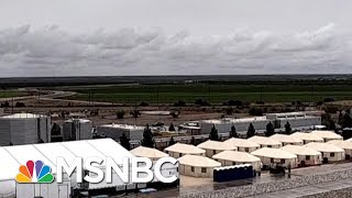 Humanitarian Crisis: Trump Detains Record Number Of Migrant Kids | The Beat With Ari Melber | MSNBC